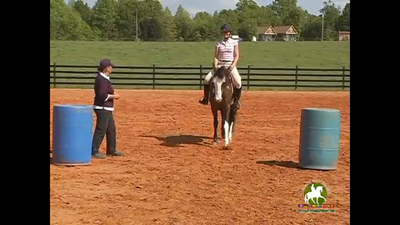 Understanding Balance & What Imbalance Does to Horses | Colleen Kelly | PART 03