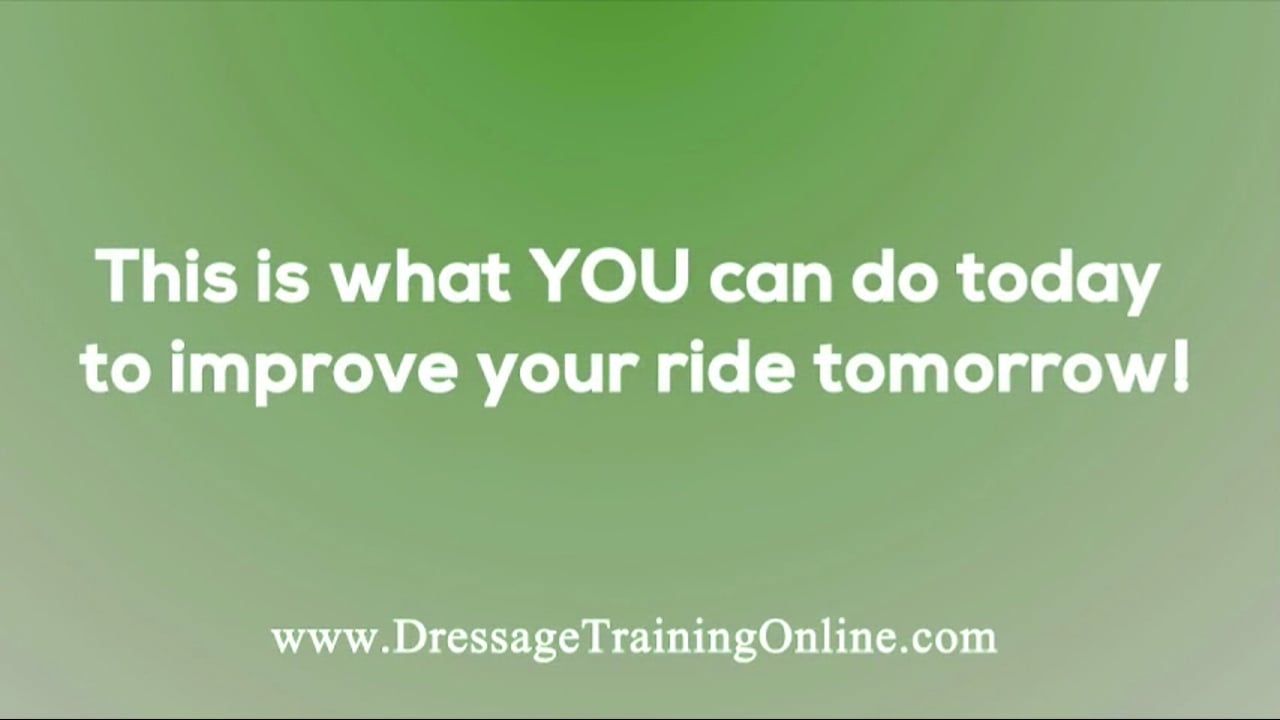 USDF Sport Horse PD Forum - Baby Basics, Stretching | Ingo Pape | PART 01