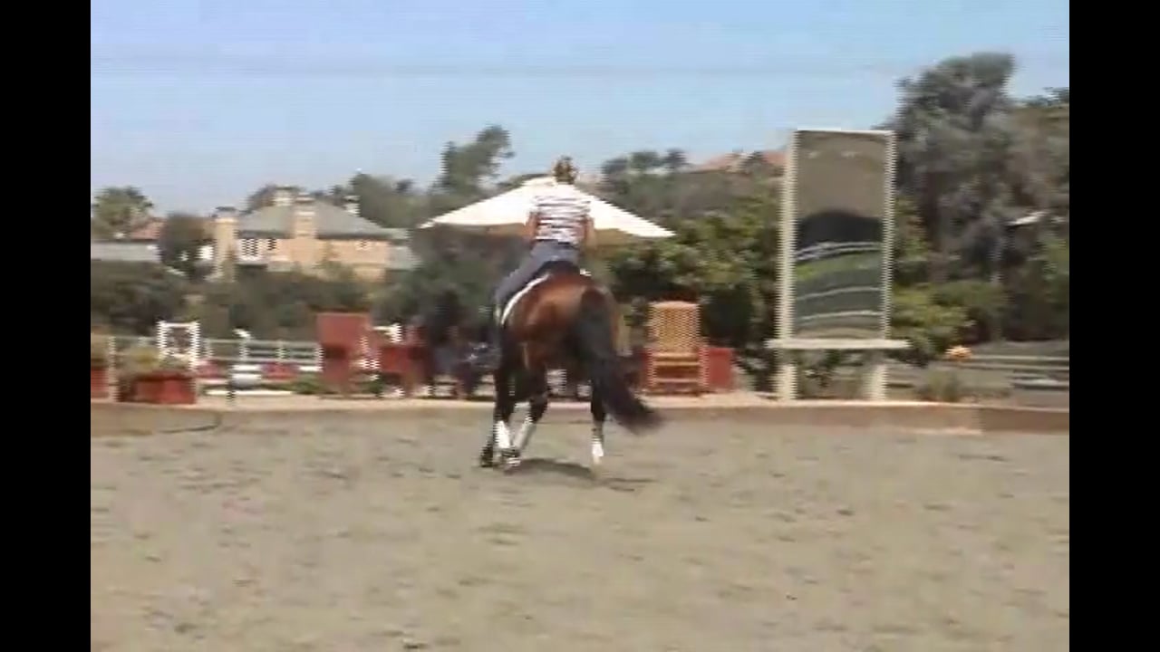 Training Tempi Changes, Piaffe, and Passage | Courtney King-Dye | PART 03