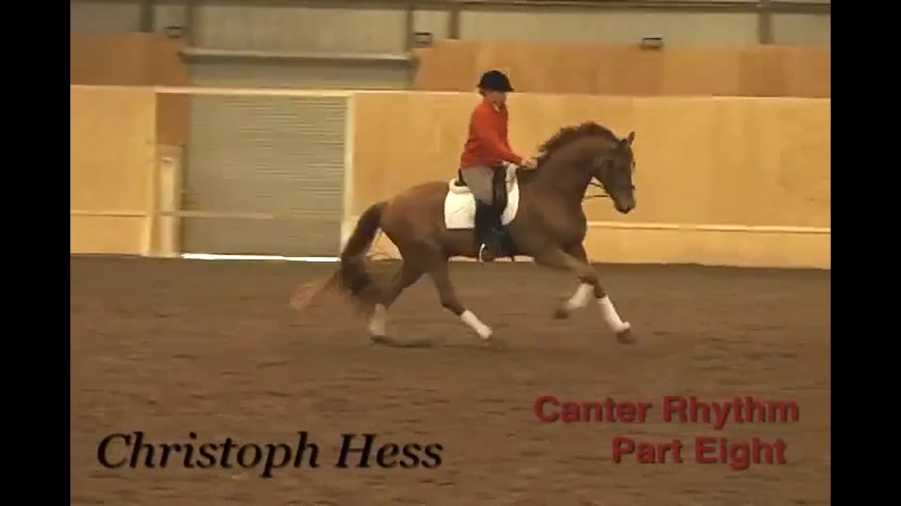 Canter Rhythm | Christoph Hess | PART 08