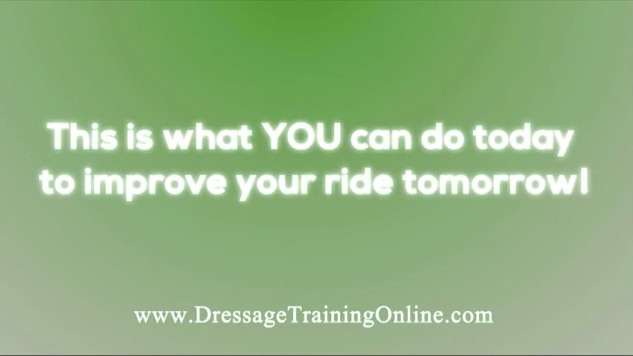 USDF Sport Horse PD Forum - Pushing Power | Scott Hassler & Ingo Pape | PART 01