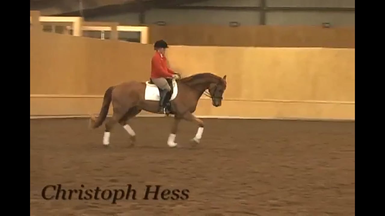 Canter Rhythm | Christoph Hess | PART 03