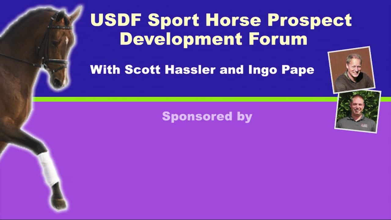 USDF Sport Horse PD Forum - 3YO Stallion | Scott Hassler & Ingo Pape | PART 02