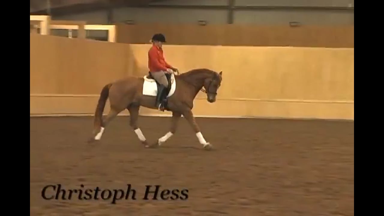 Canter Rhythm | Christoph Hess | PART 05
