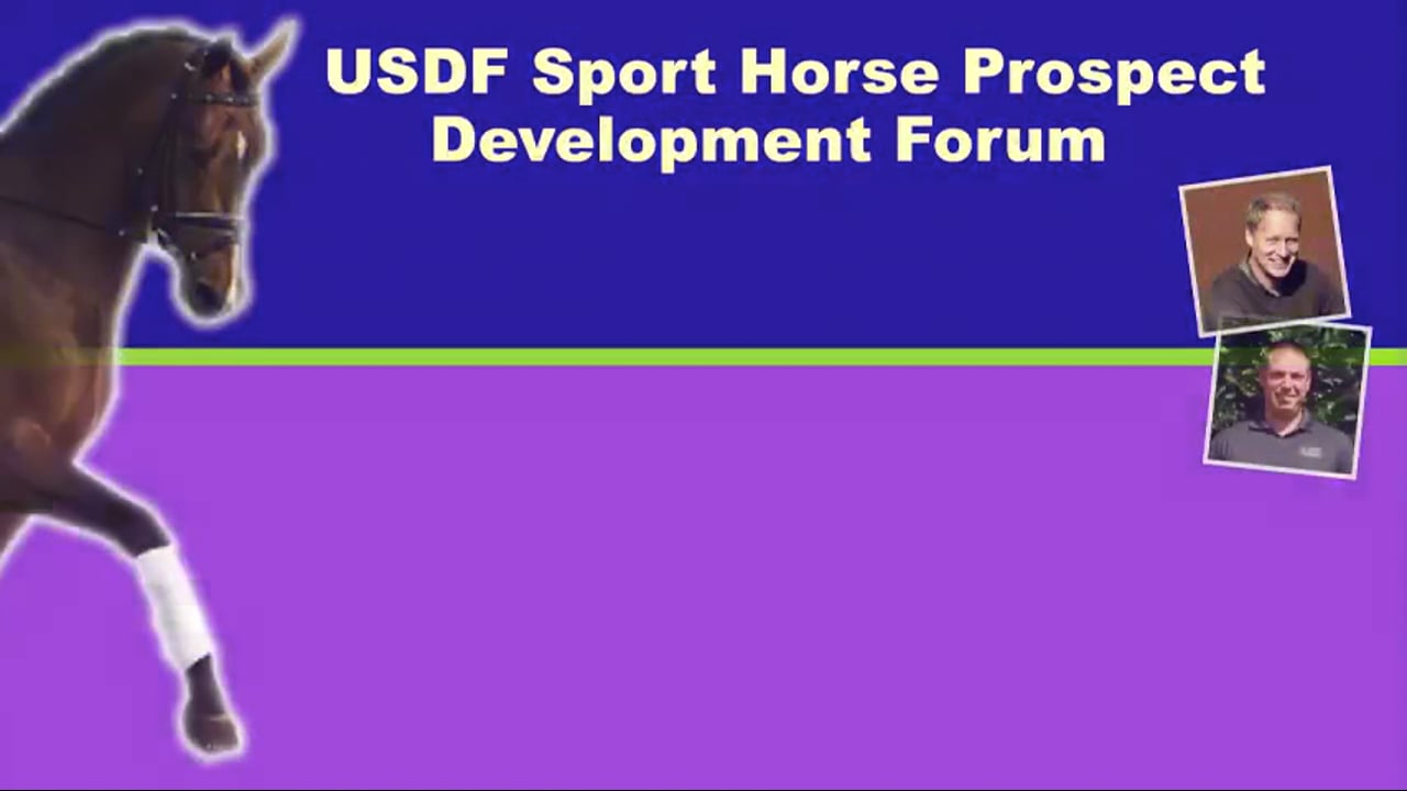 USDF Sport Horse PD Forum - Well Schooled Young Horse | Ingo Pape | PART 02
