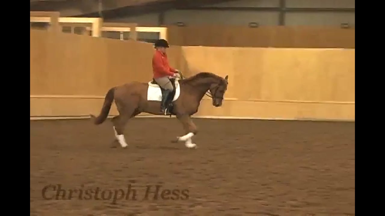 Canter Rhythm | Christoph Hess | PART 02