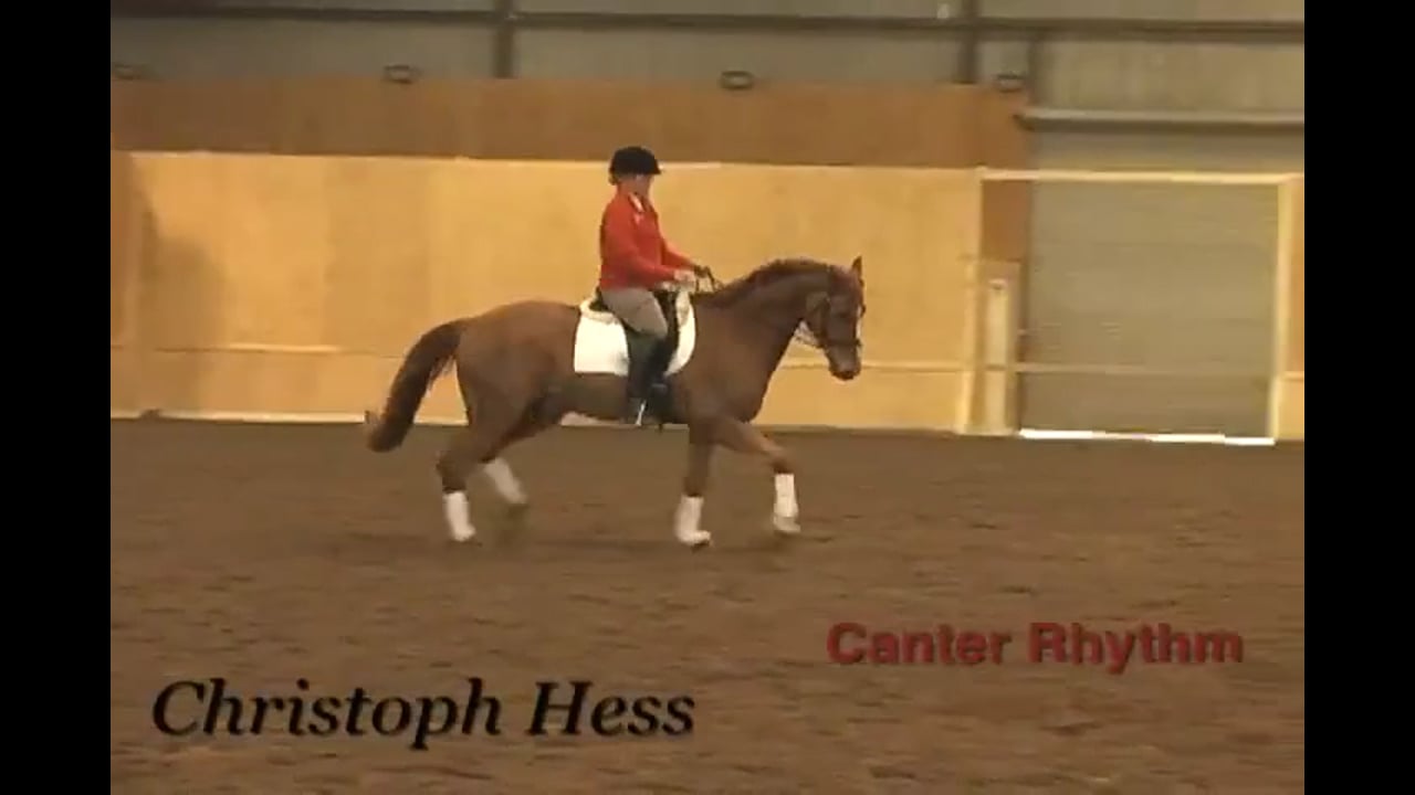 Canter Rhythm | Christoph Hess | PART 07