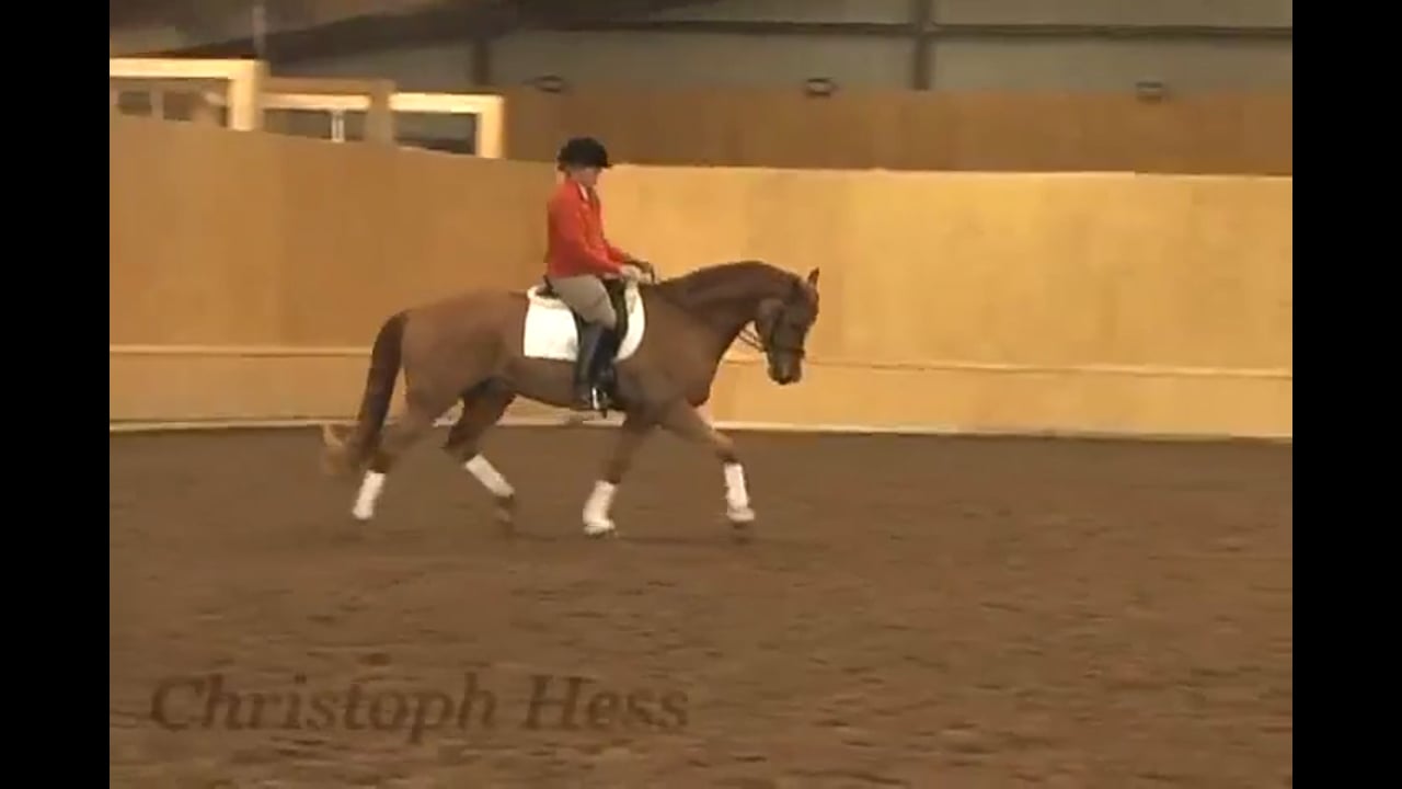 Canter Rhythm | Christoph Hess | PART 04