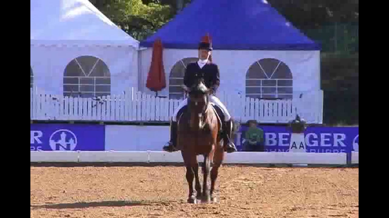 Judging S/Advanced Class | Uwe Mechlem