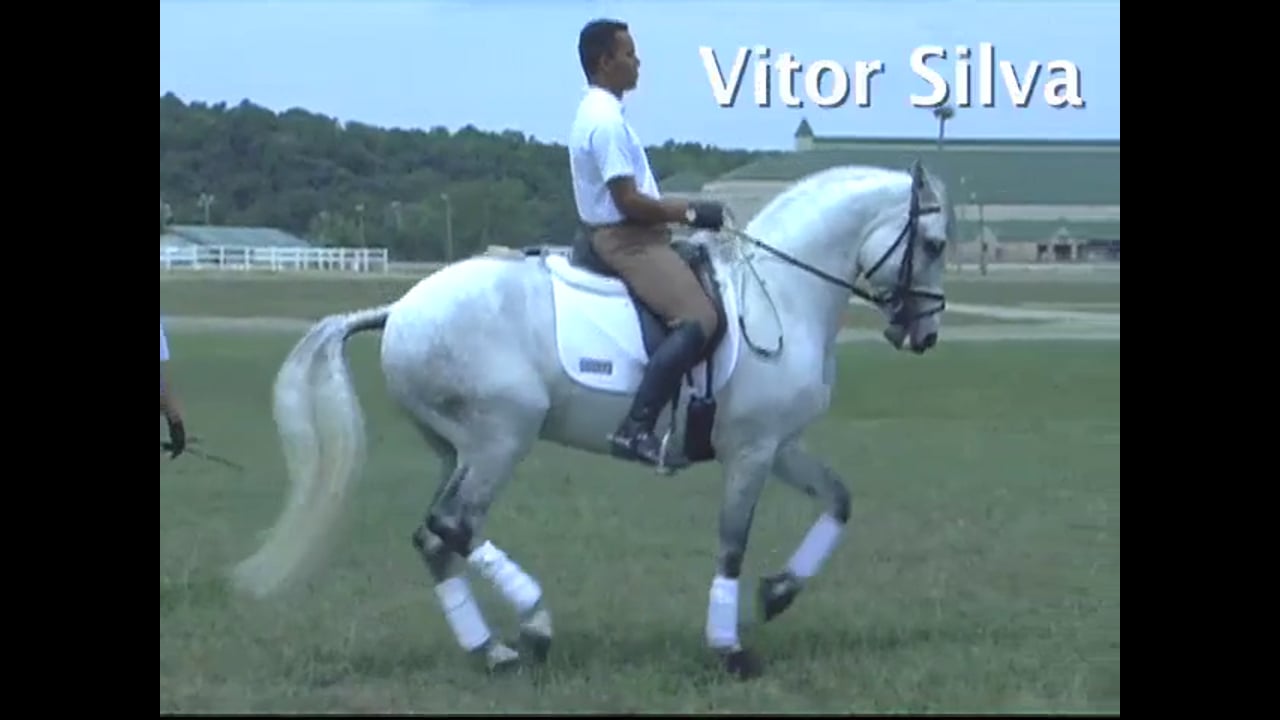 Piaffe and Passage | Vitor Silva | PART 03