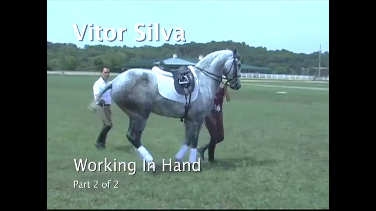In-Hand Work | Vitor Silva | PART 02