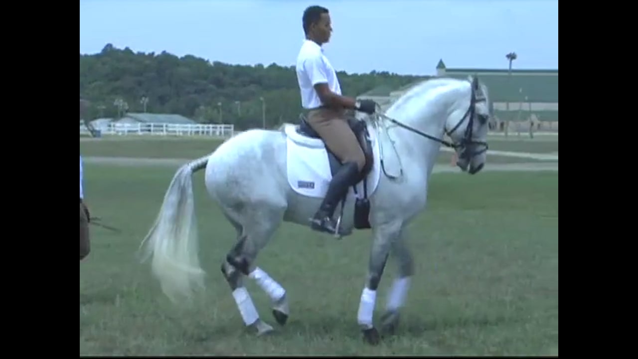 Piaffe and Passage | Vitor Silva | PART 02