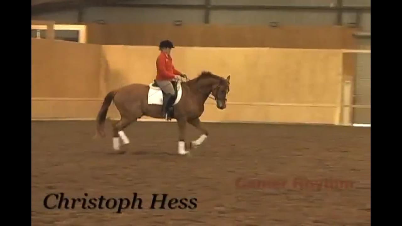 Canter Rhythm | Christoph Hess | PART 06