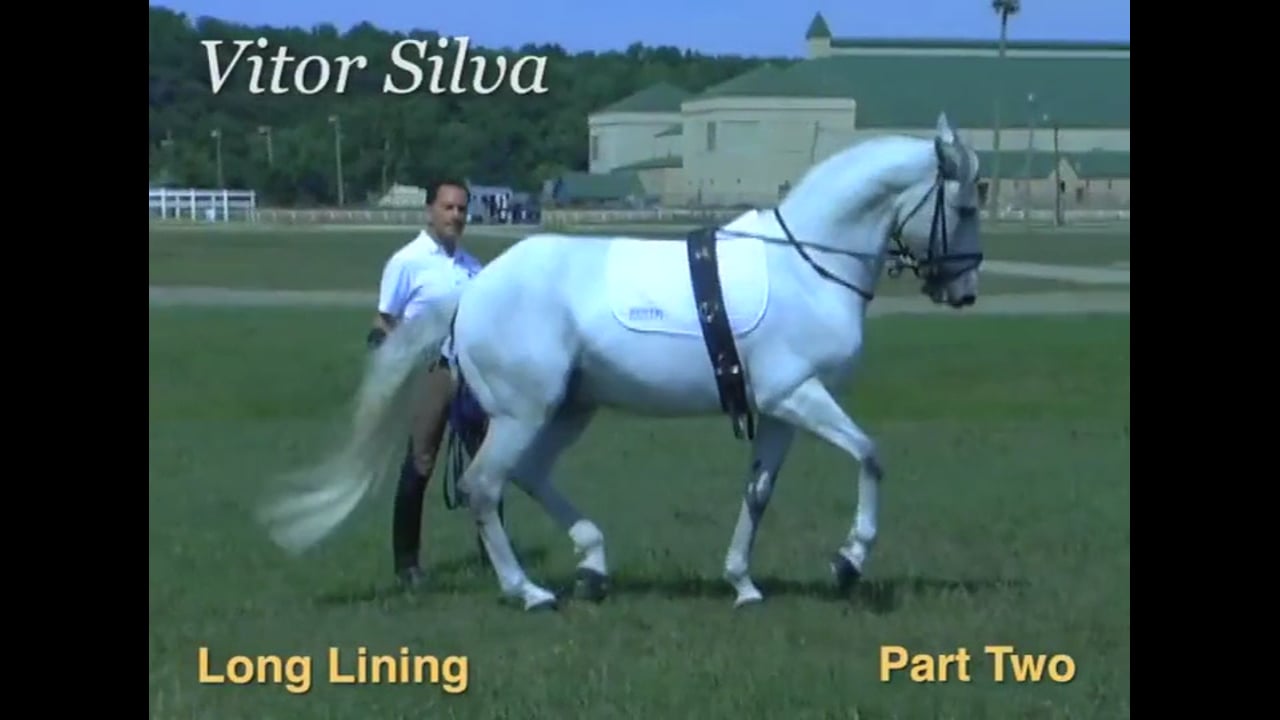 Long Lining | Vitor Silva | PART 02