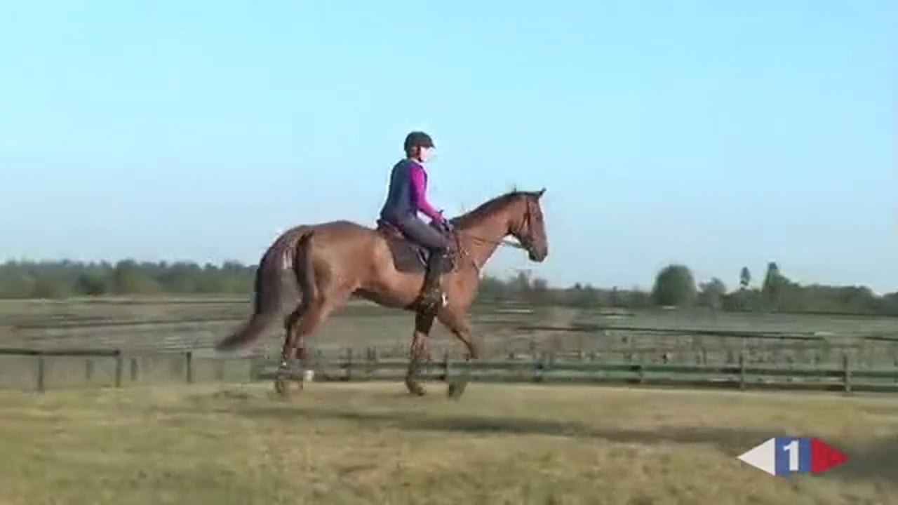 Warm Up & Banks, Preliminary | Johnathan Holling | PART 04