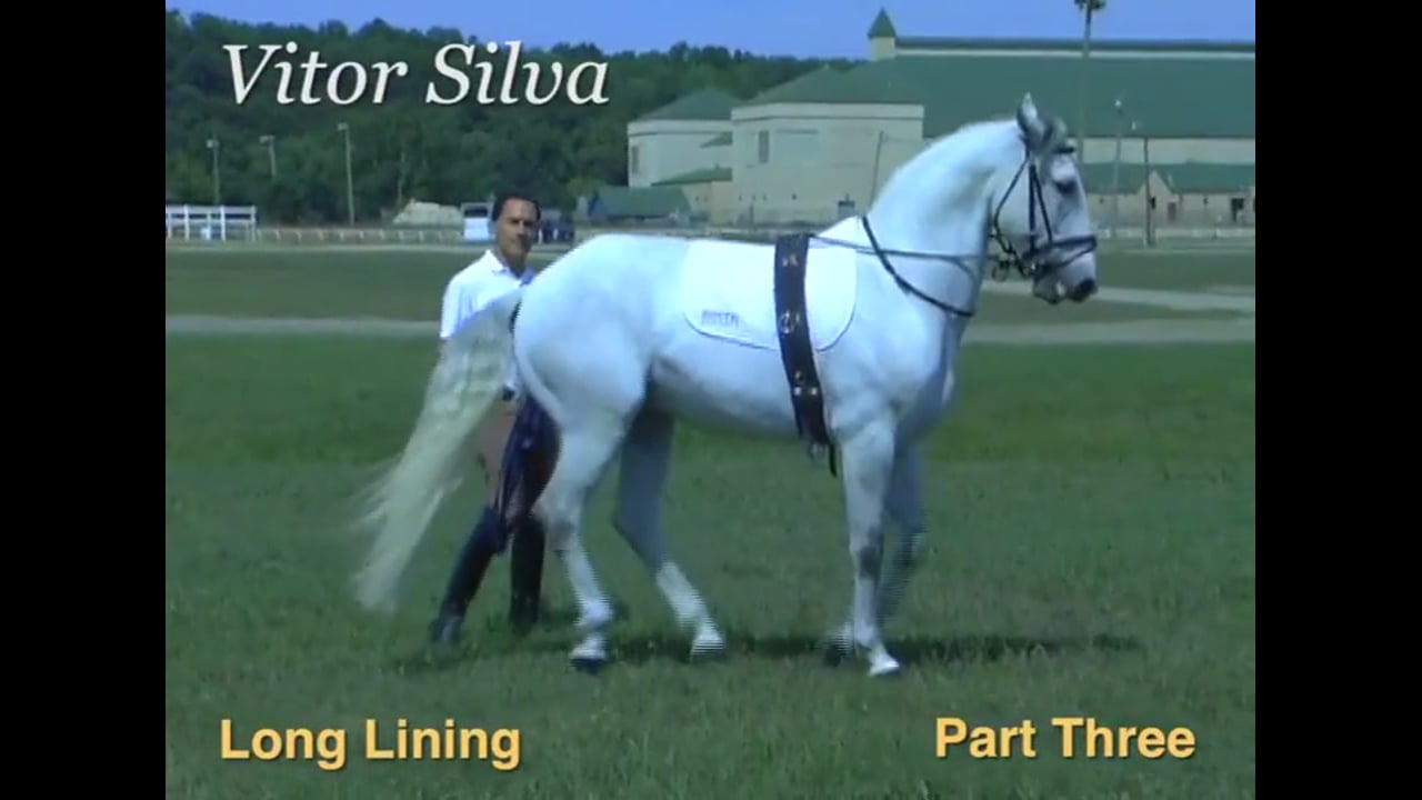 Long Lining | Vitor Silva | PART 03
