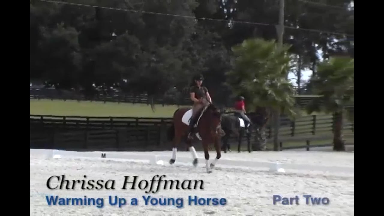 Warming Up a Young Horse | Chrissa Hoffman | PART 02