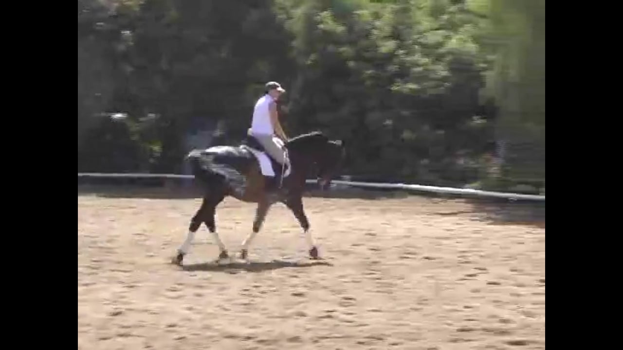 Transitions and Pirouettes | Hilda Gurney | PART 02