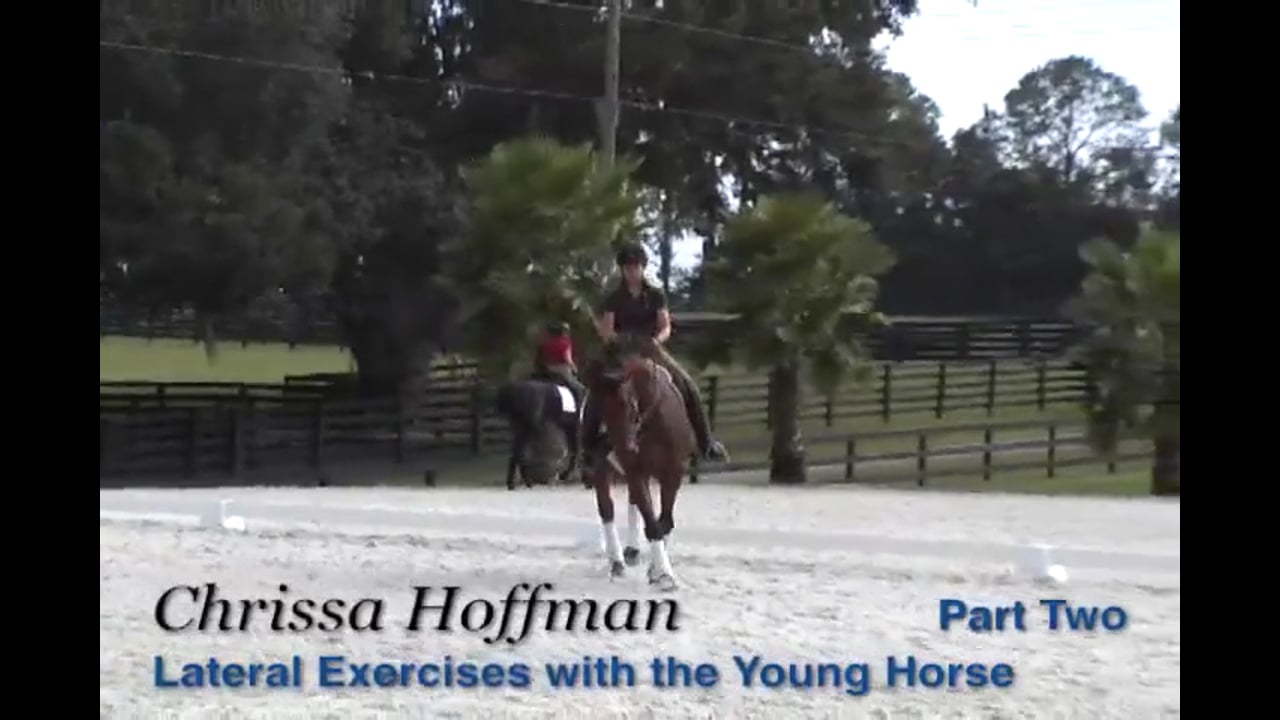 Lateral Exercises for the Young Horse | Chrissa Hoffman | PART 02