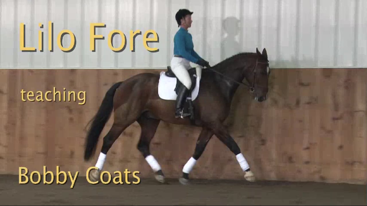 Walk canter, rein back, leg yield - 1/2012, FarmVet/USDF Adult Clinic, Training