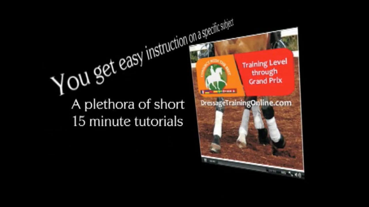 Your Horses Brain, Positive Reinforcement | Jody Hartstone | PART 05