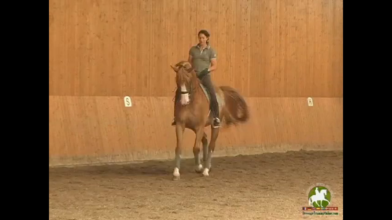 What to be Thinking About When Warming Up | Catherine Haddad | PART 03