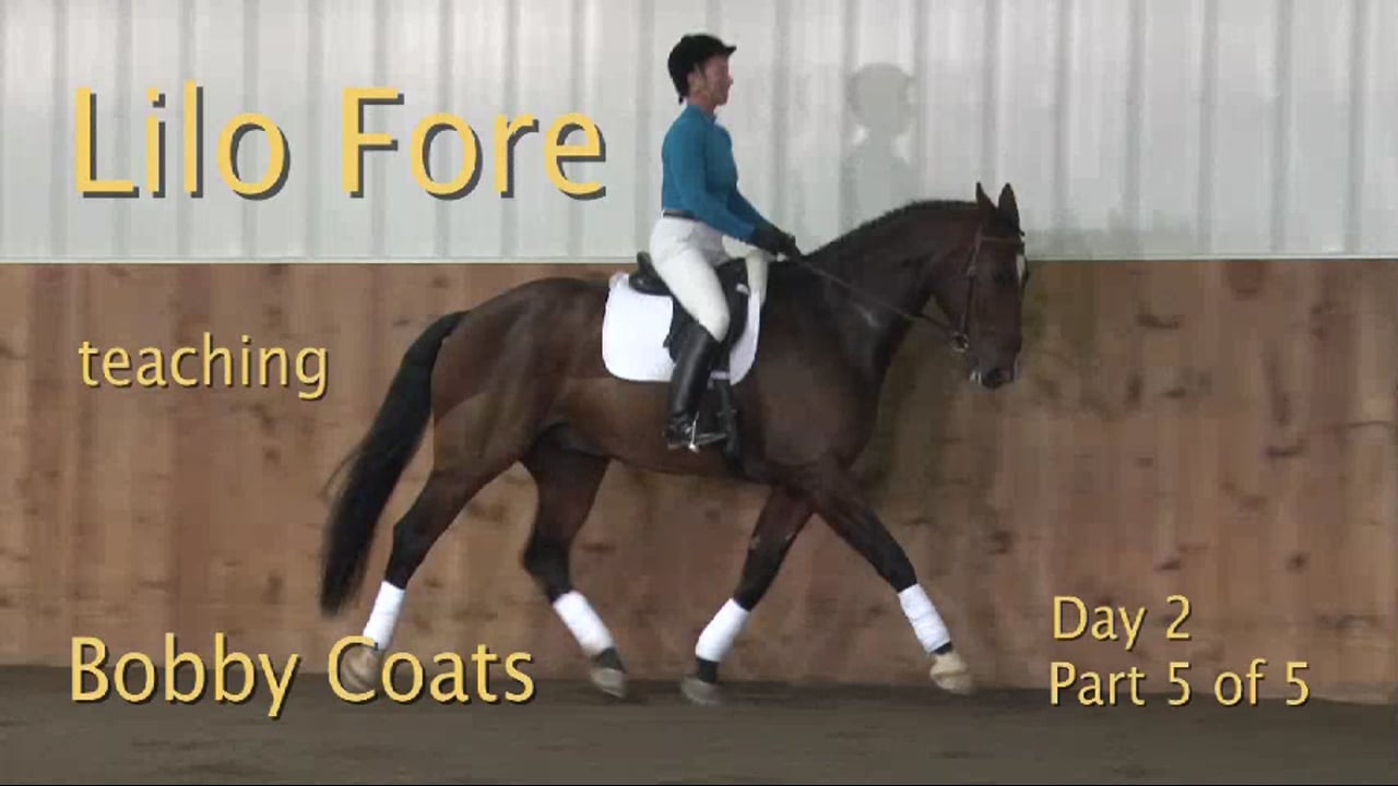 Walk canter, rein back, leg yield - 1/2012, FarmVet/USDF Adult Clinic, Training