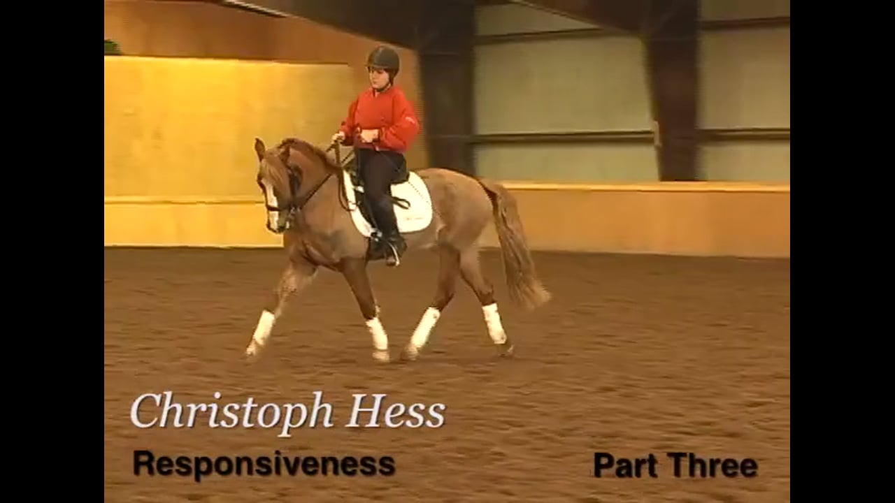 Responsiveness | Christoph Hess | PART 03