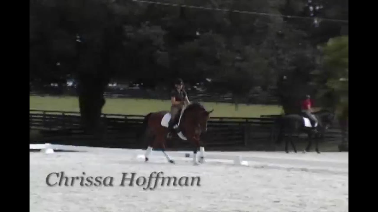 Canter Exercises with the Young Horse | Chrissa Hoffman | PART 01