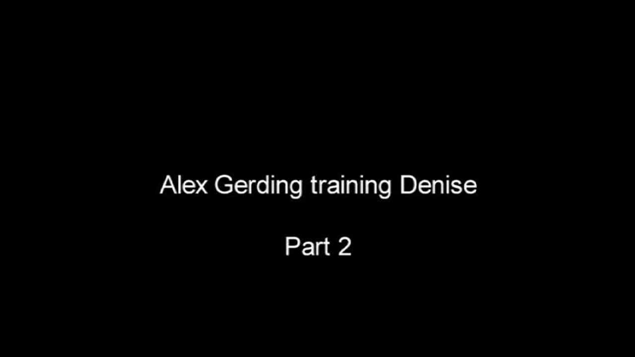 Walk - Trot Transitions and Gaining Relaxation | Alex Gerding | PART 02