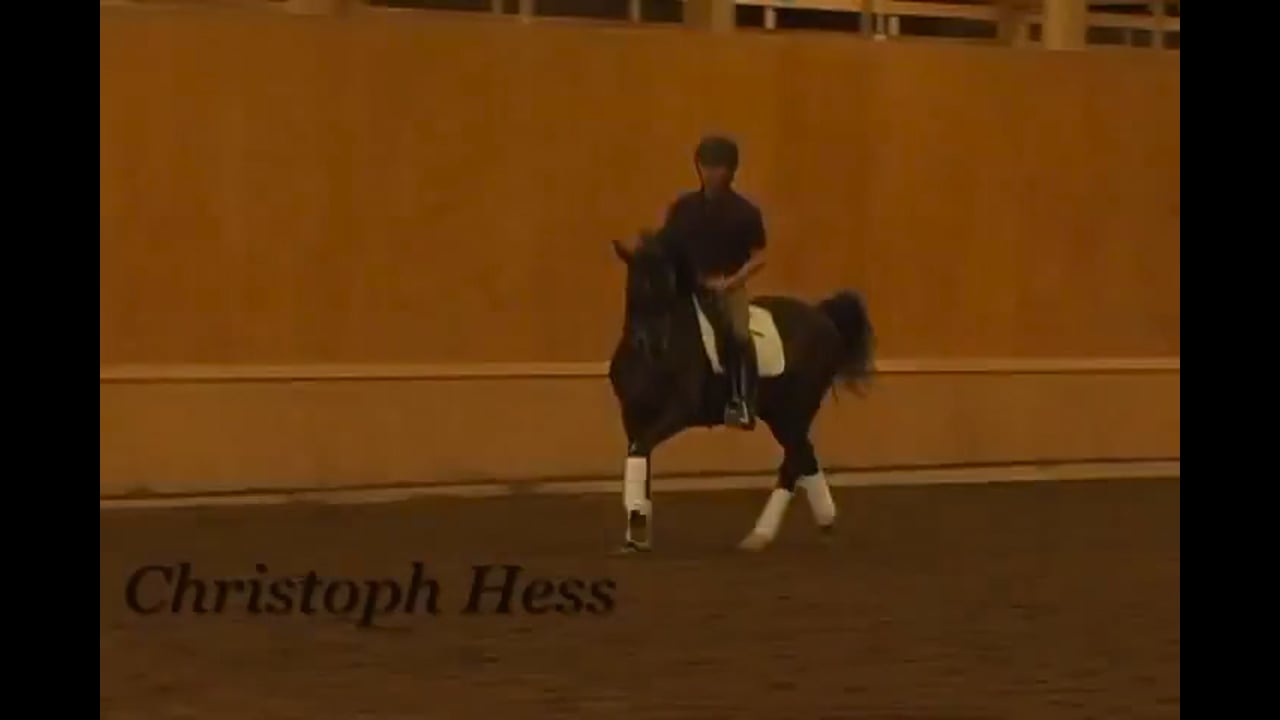 Stretching for Upper Levels, Day 1 | Christoph Hess | PART 06