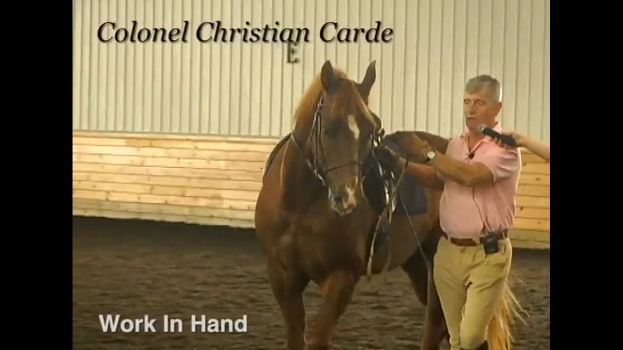 Work in Hand and Obedience | Colonel Christian Carde | PART 04