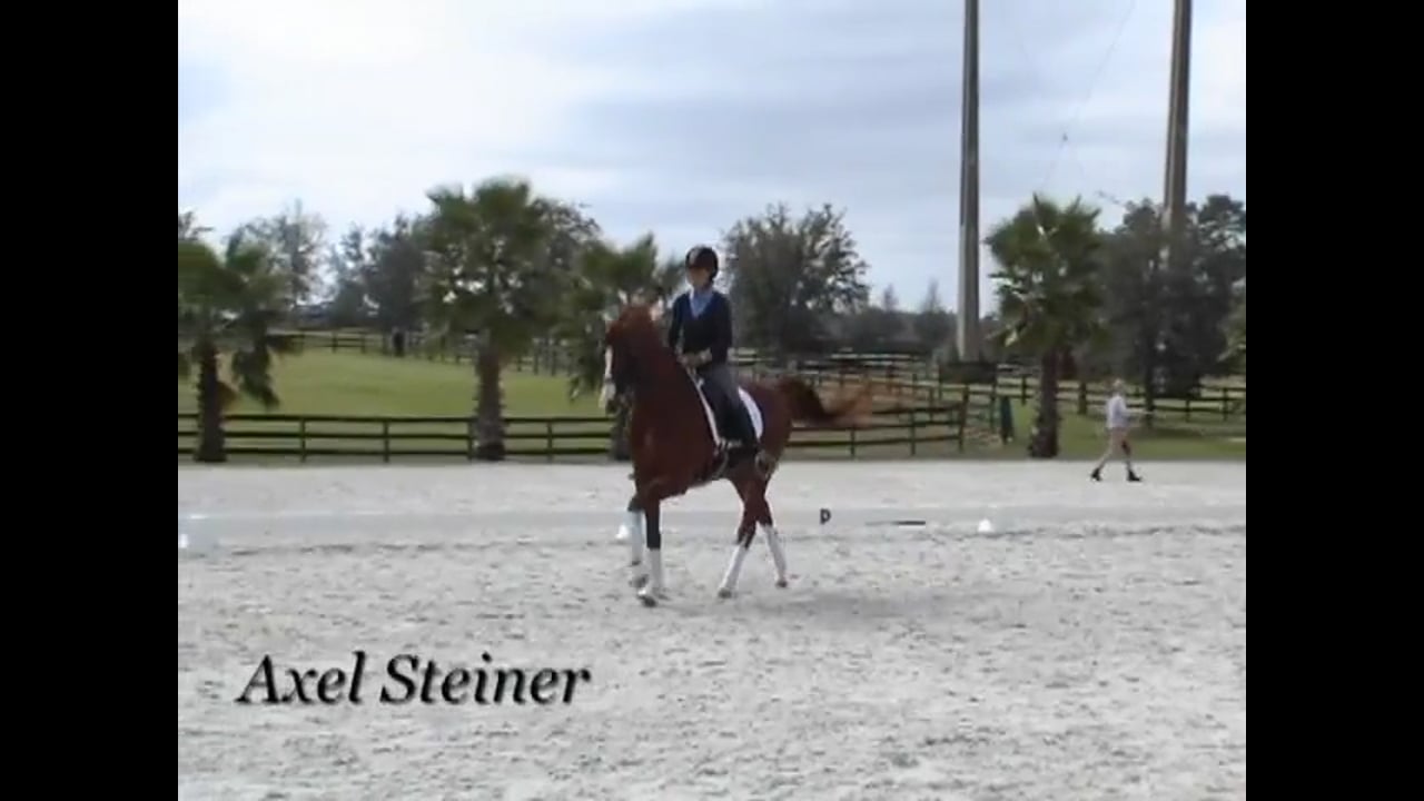 Intermediaire | | Axel Steiner | PART 02