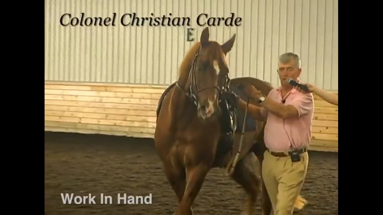 Work in Hand and obedience | Colonel Christian Carde | PART 02