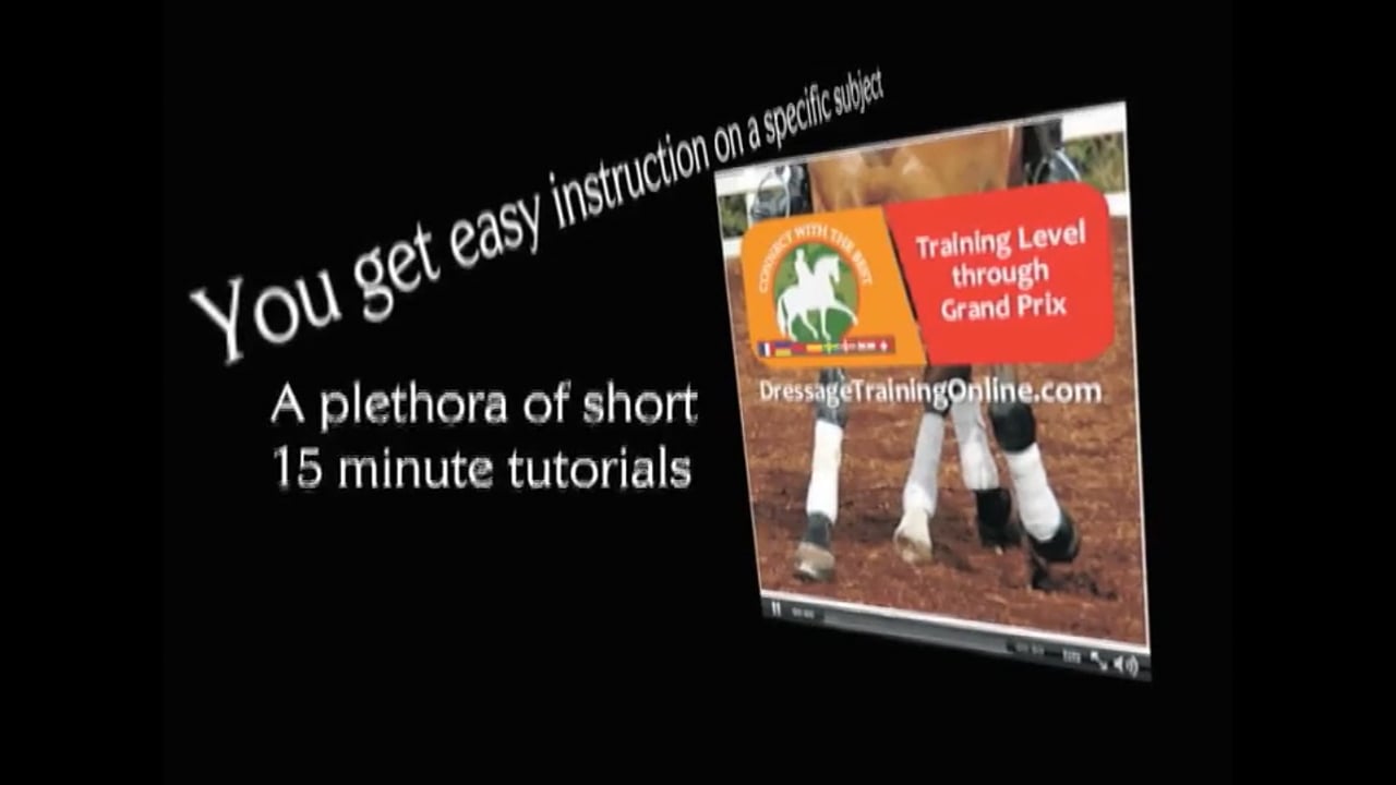 Work in Hand and obedience | Colonel Christian Carde | PART 01