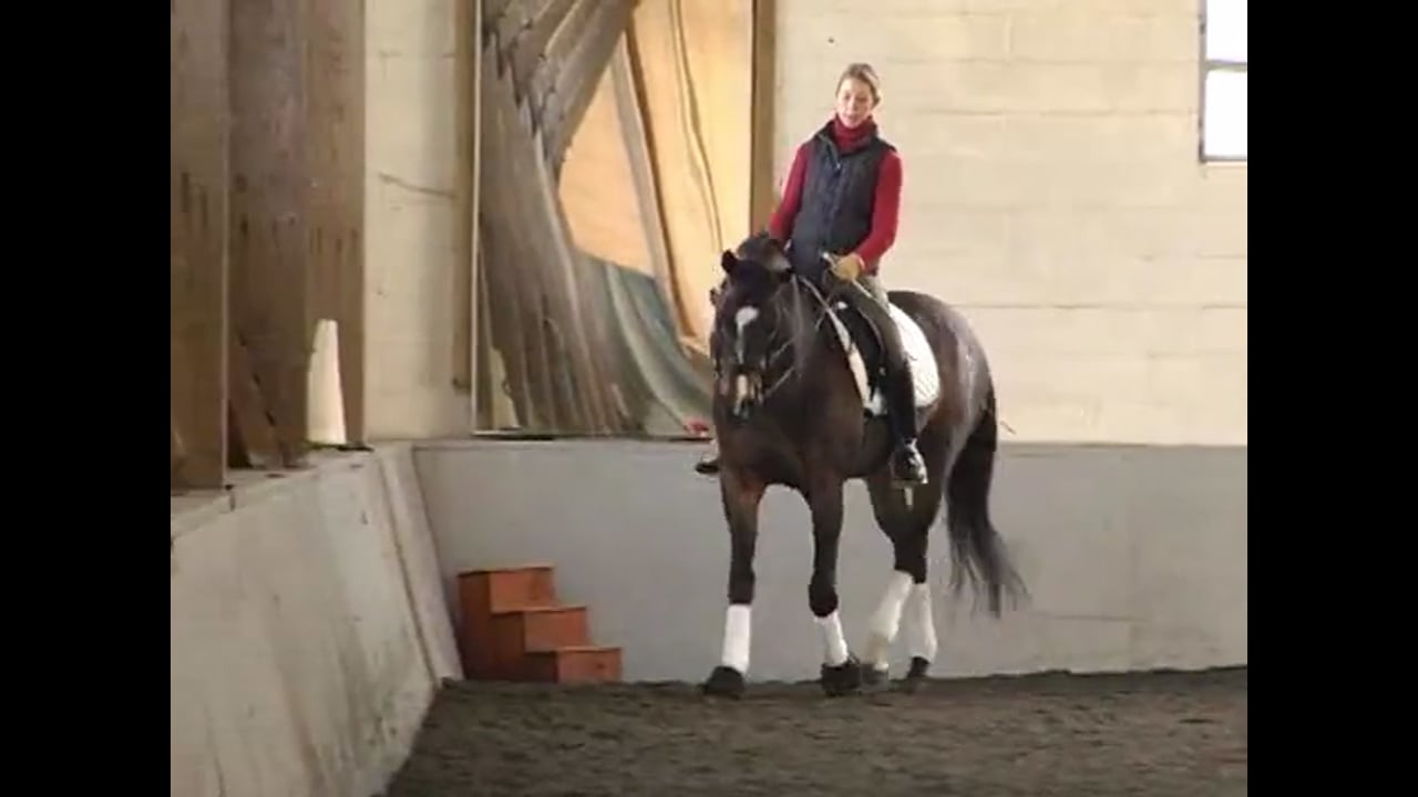 Work on All the FEI Level Moves | Courtney King-Dye | PART 03