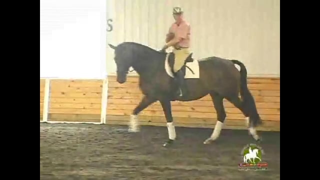 Working on a Giving Hand and Piaffe Passage | Colonel Christian Carde | PART 03