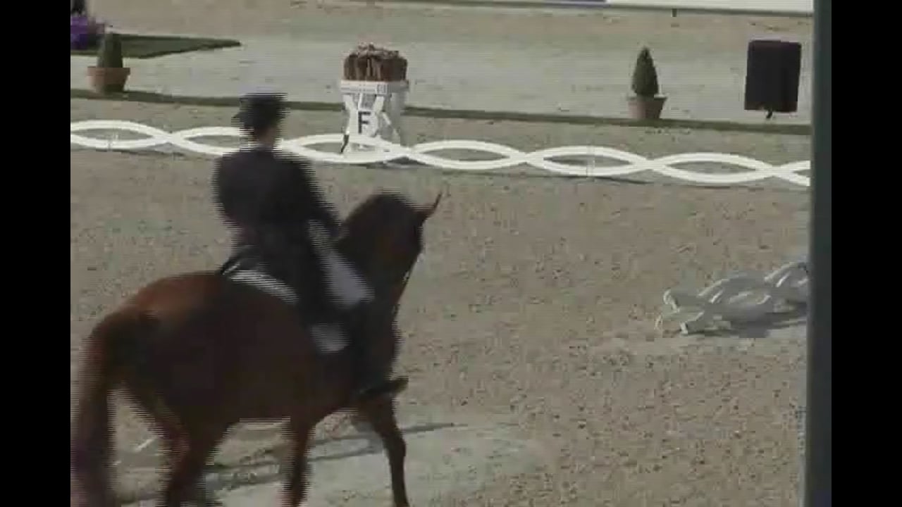 World Equestrian Festival, Freestyles/Kur | Isabell Werth | PART 09