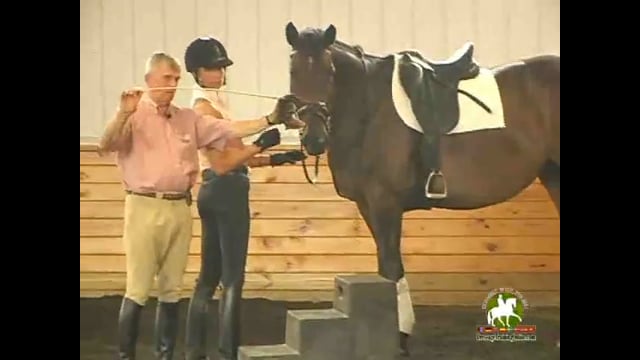 Working on a Giving Hand and Piaffe Passage | Colonel Christian Carde | PART 02