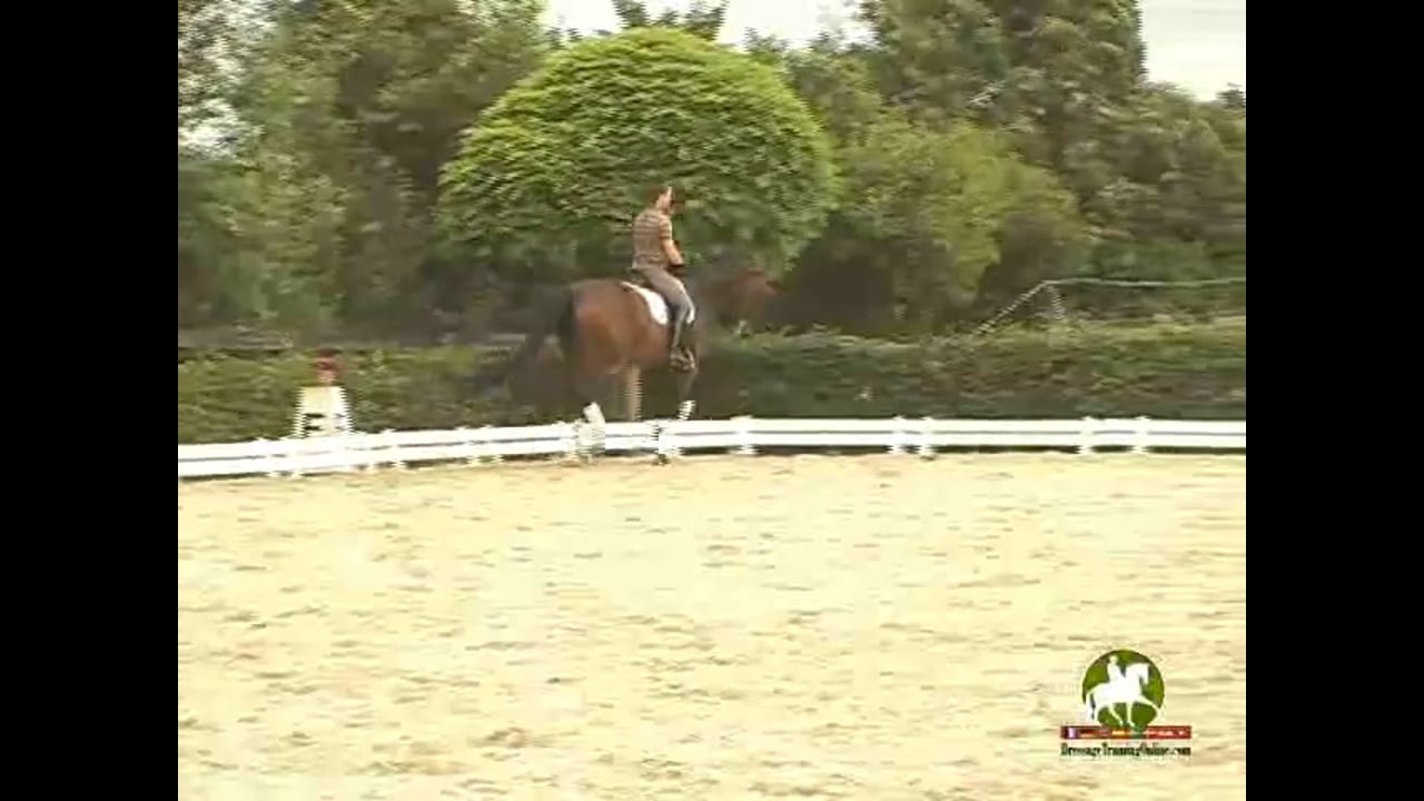 Hot Horse: Bettering What Your Horse Knows | Katrin Bettenworth | PART 02