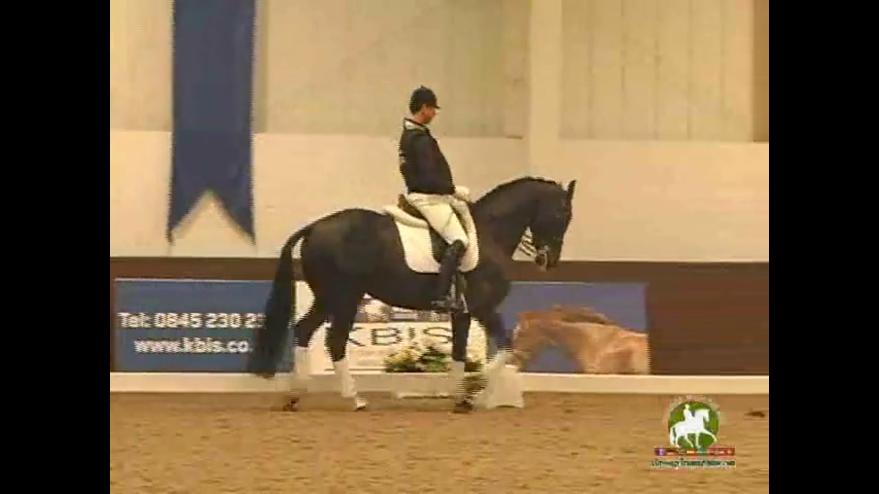 Young Horse Warm-Up with Jean Bemelmans | Carl Hester