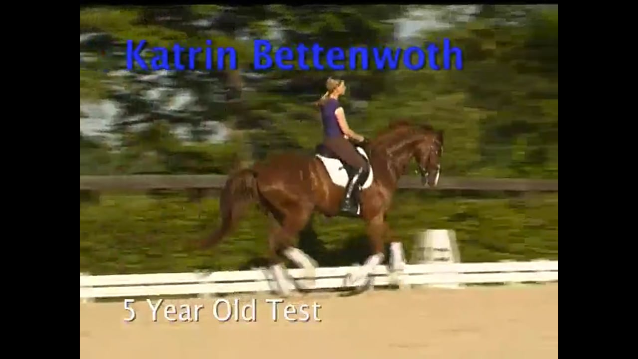 Young Horse Test Preparation: 5YO Test | Katrin Bettenworth | PART 02
