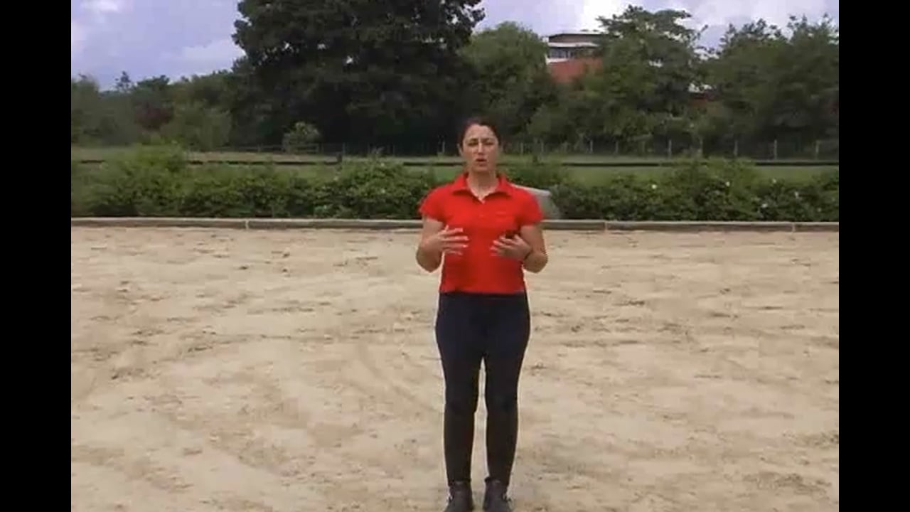Young Horse Focus | Catherine Haddad | PART 01