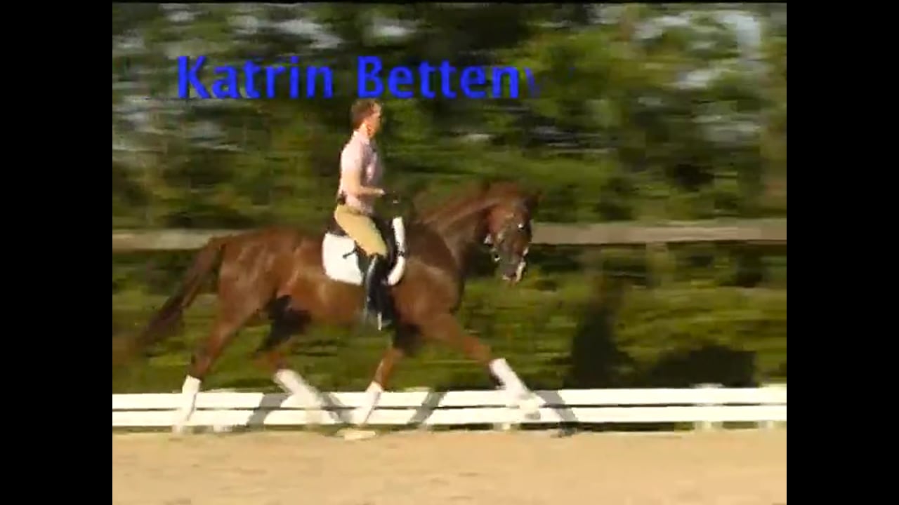 Young Horse Test Preparation: 5YO Test | Katrin Bettenworth | PART 03