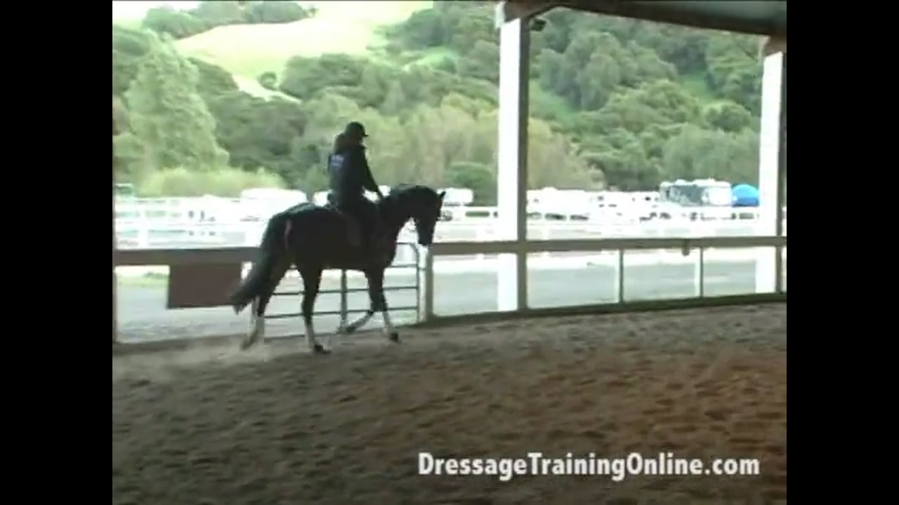 Young Horse: Dealing with Contact Issues | Alex Gerding | PART 04