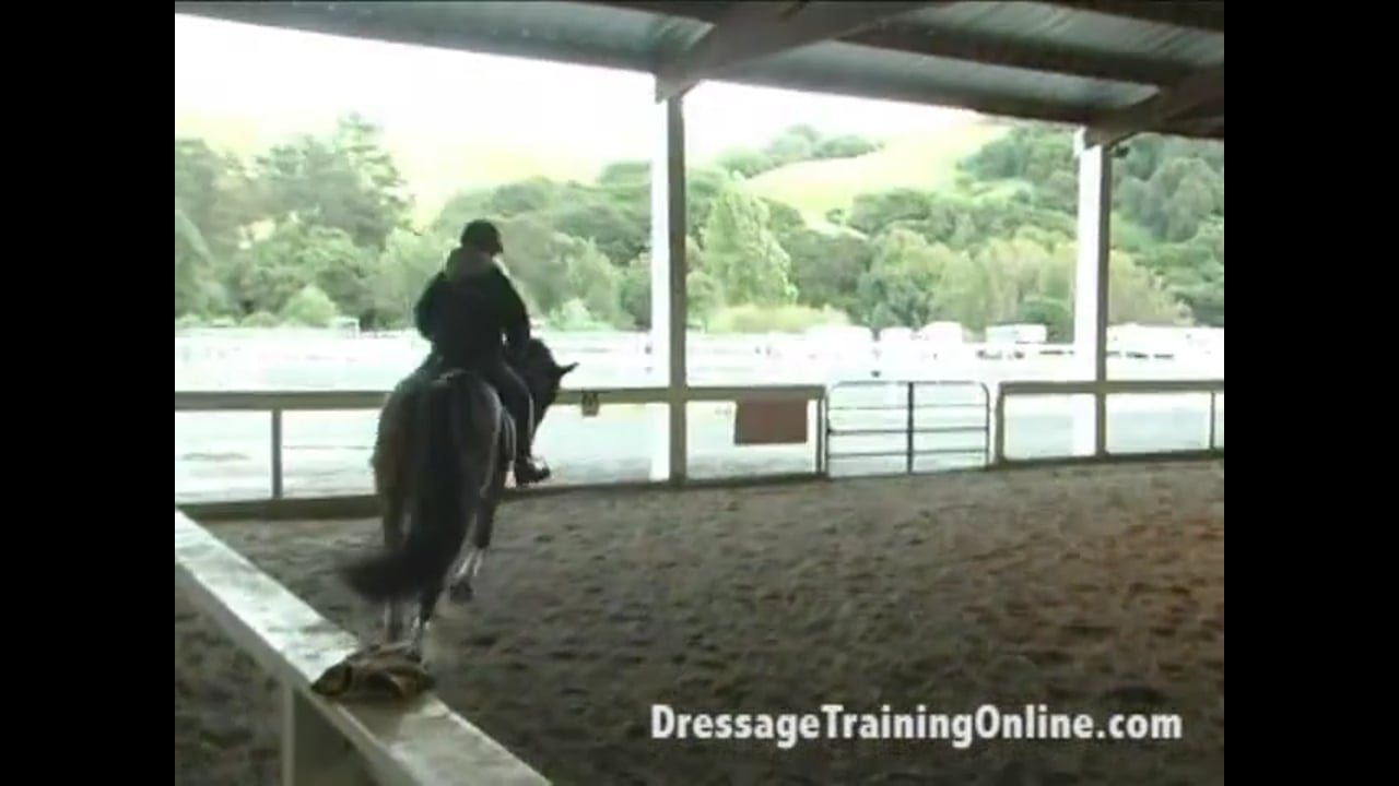 Young Horse: Dealing with Contact Issues | Alex Gerding | PART 03