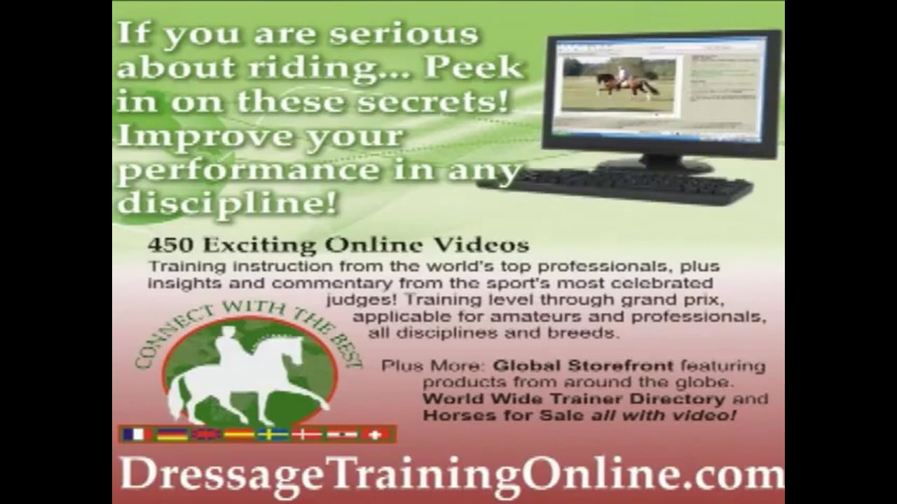 Young Horse: Dealing with Contact Issues | Alex Gerding | PART 01