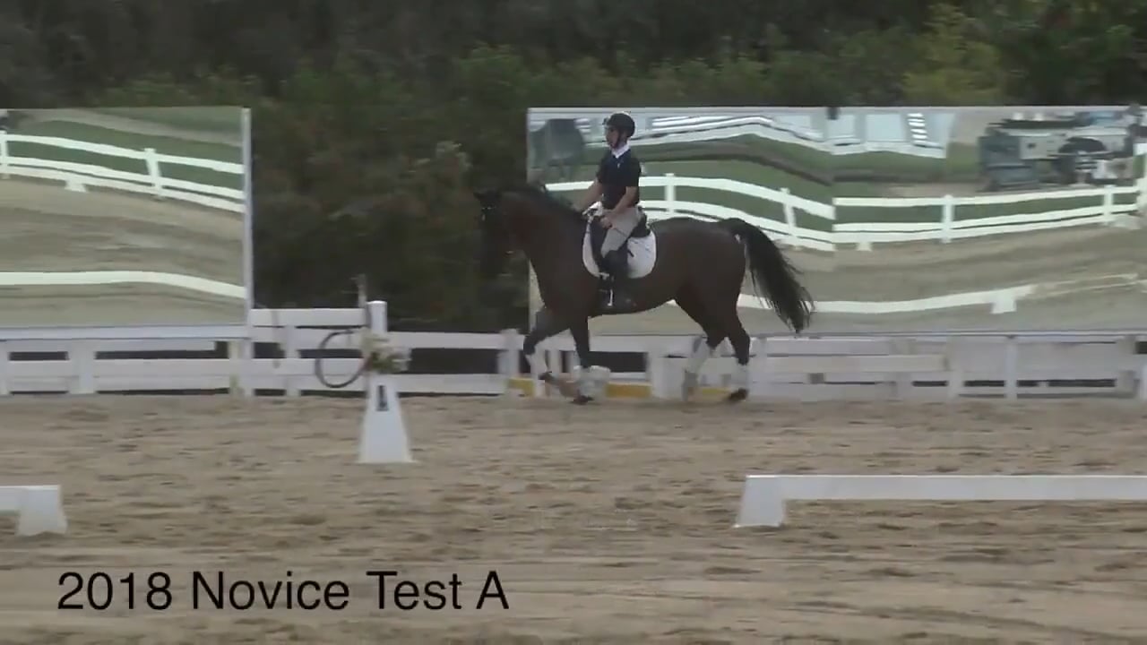 2018 Novice Tests - Dressage Test A | Robyn Fisher | PART 01