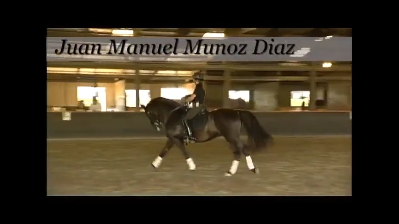 Walk and Canter Pirouettes | Juan Manuel Munoz Diaz