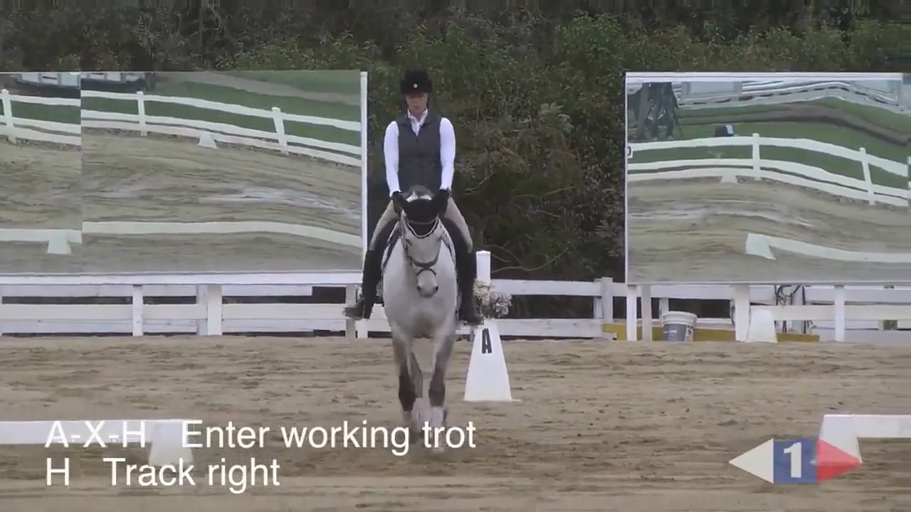 2018 Beginner Novice Tests - Dressage Test B | Robyn Fisher | PART 03